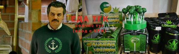 индика Козловка