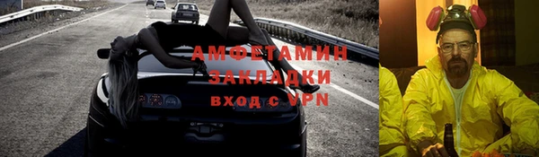 индика Козловка