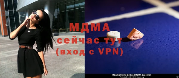 индика Козловка