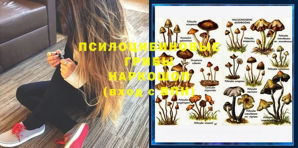 прущие грибы Коряжма