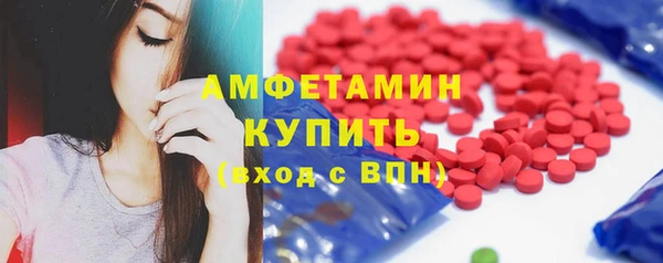 индика Козловка