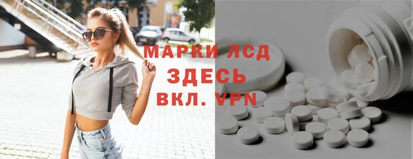 индика Козловка