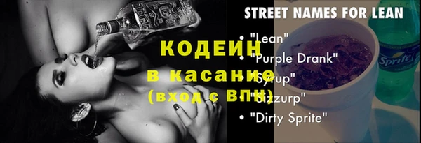 прущие грибы Коряжма