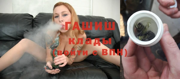 индика Козловка