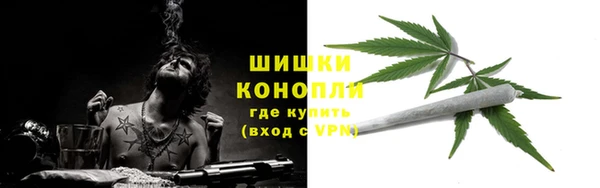 индика Козловка