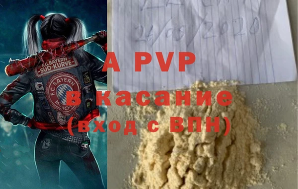 PSILOCYBIN Козельск