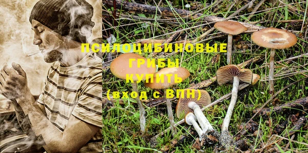 прущая мука Кодинск
