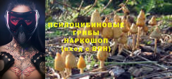 индика Козловка
