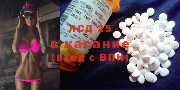 индика Козловка