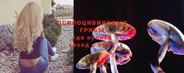 ALPHA PVP Костерёво