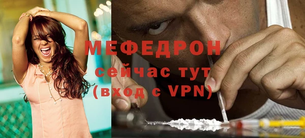 индика Козловка