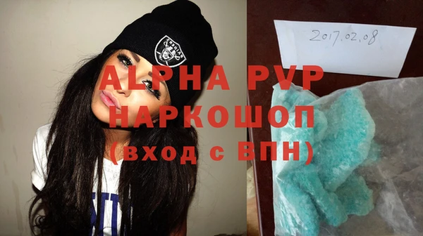 прущие грибы Коряжма