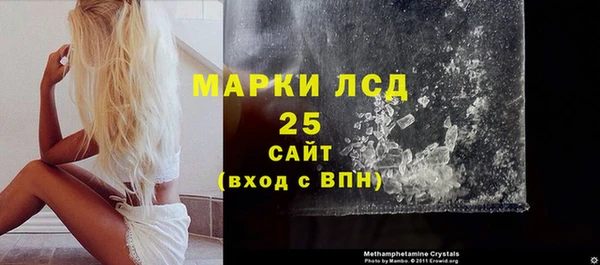 индика Козловка