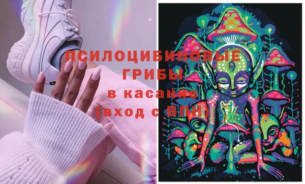 прущая мука Кодинск