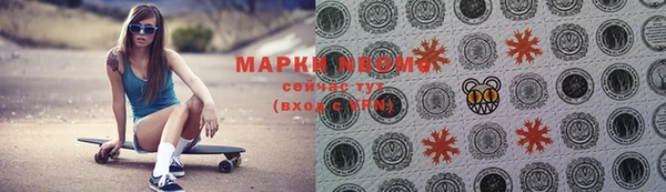 индика Козловка