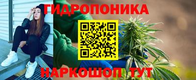 гидра Аргун