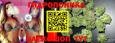 крисы Волгодонск