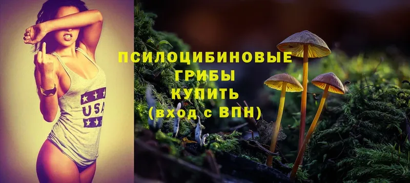 Псилоцибиновые грибы ЛСД  как найти наркотики  Ессентуки 