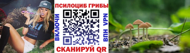 купить наркотики сайты  Ессентуки  Псилоцибиновые грибы мицелий 