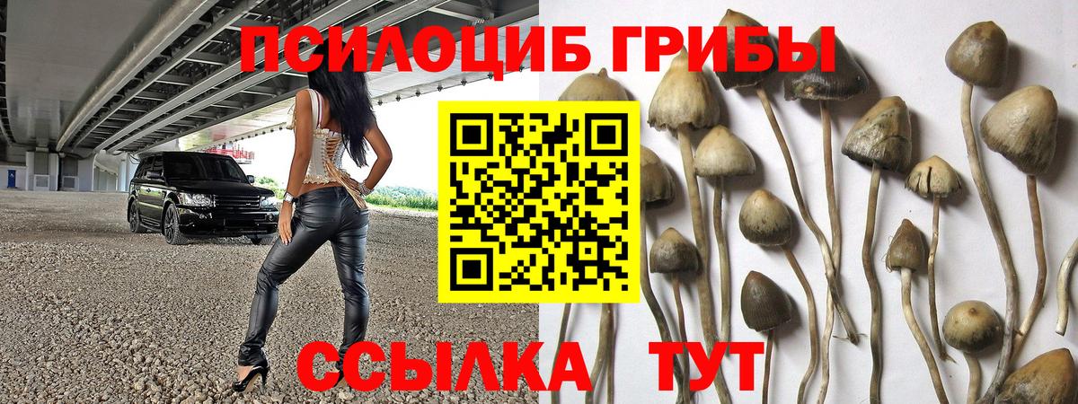 Ессентуки  купить   Вход с VPN  Галлюциногенные грибы Magic Shrooms 