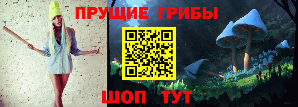 что такое   Ессентуки  Псилоцибиновые грибы ЛСД 