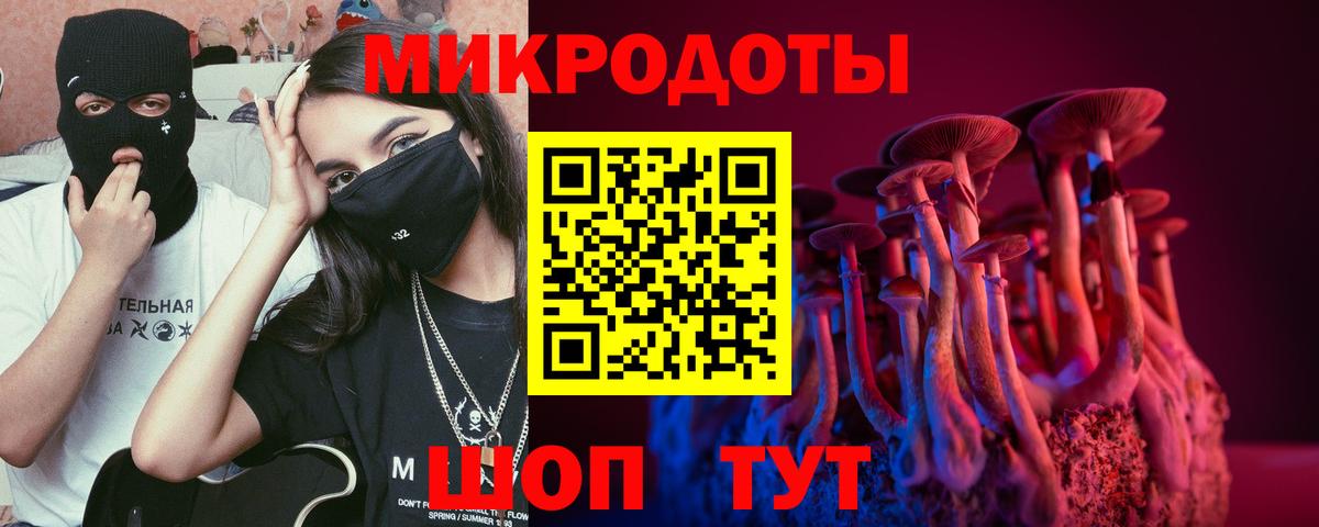 Псилоцибиновые грибы ЛСД Ессентуки